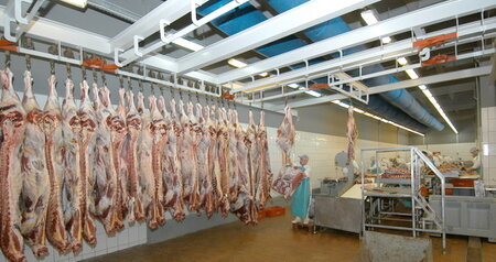 Дезинсекция на мясокомбинате в Зарайске, цены на услуги